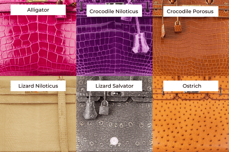 Luxury Revision Exotic Skins Swatches